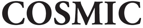株式会社コスミックエンジニアリング
